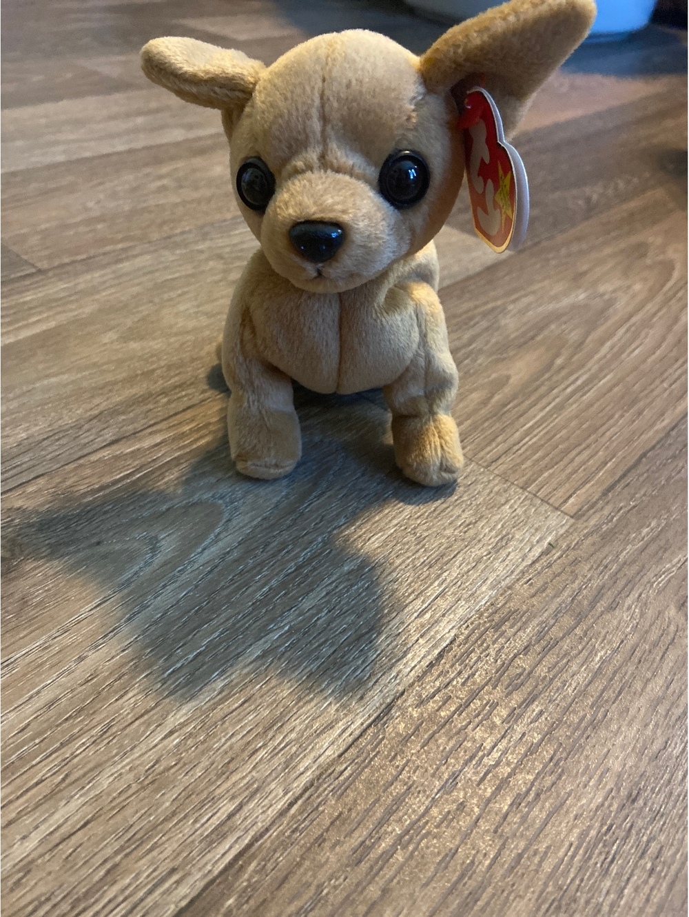 Ty Beanie Baby Tiny the Chihuahua Plush Toy - 1998 Collectible